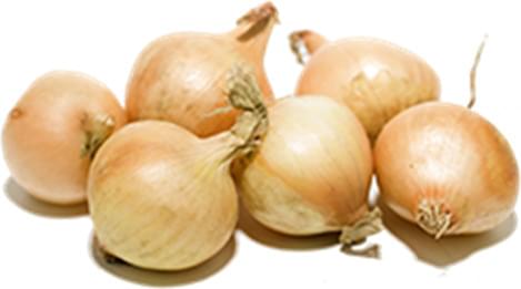 Stuttgart Κρεμμύδι Κοκκάρι 1kg