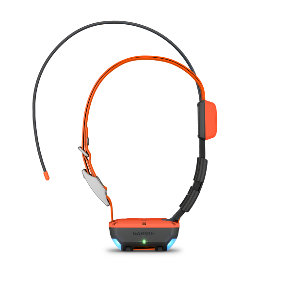 Garmin Alpha® T 20 Κολάρο Σκύλου - Image 7