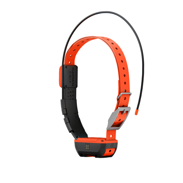 Garmin Alpha® T 20 Κολάρο Σκύλου - Image 2