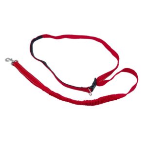 Οδηγός ιμάντα εκπαιδυτή 160cm