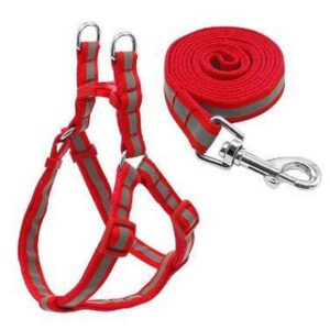 Σαμαράκι νεοπρέν μεγάλο