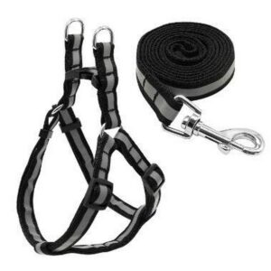 Σαμαράκι μικρό Νεοπρεν