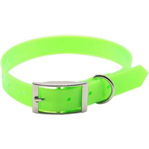 Περιλαίμιο σκύλου φωσφοριζέ 2.5x57cm Agroforce λαχανί