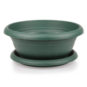 Πιατέλα Πράσινη Arrangement Με Πια΄το 50x19cm 19L Serinova - 8698644482843