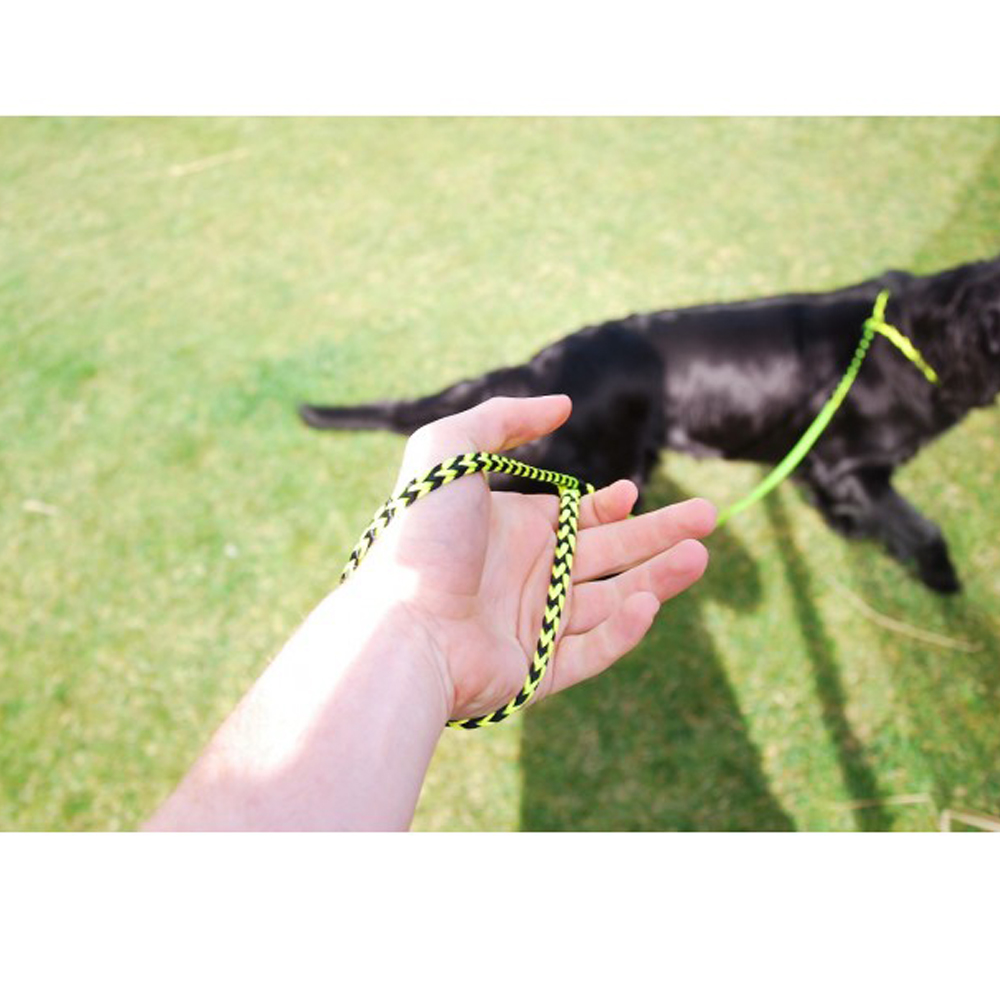 Runlock The Dog Leash Λουρί Σκύλου 180cm - Image 4