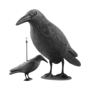 Απωθητικό κοράκι ομοίωμα πουλιών Cresman με βάση