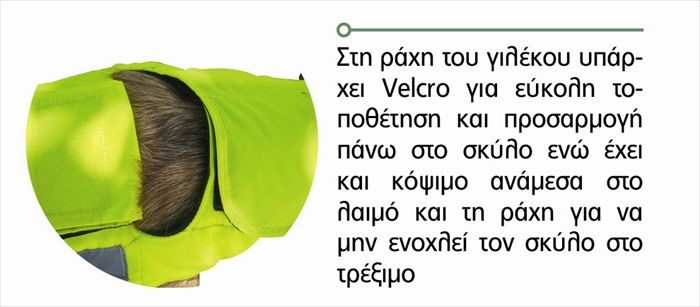 Outdoor Alpha Pro T870 Γιλέκο Προστασίας Σκύλου Κίτρινο 70cm - Image 4