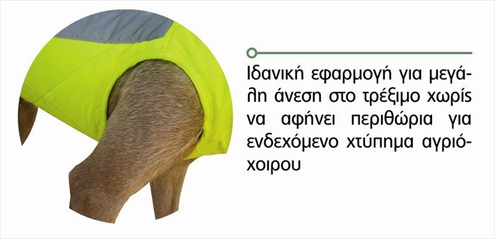 Outdoor Alpha Pro T870 Γιλέκο Προστασίας Σκύλου Κίτρινο 70cm - Image 5