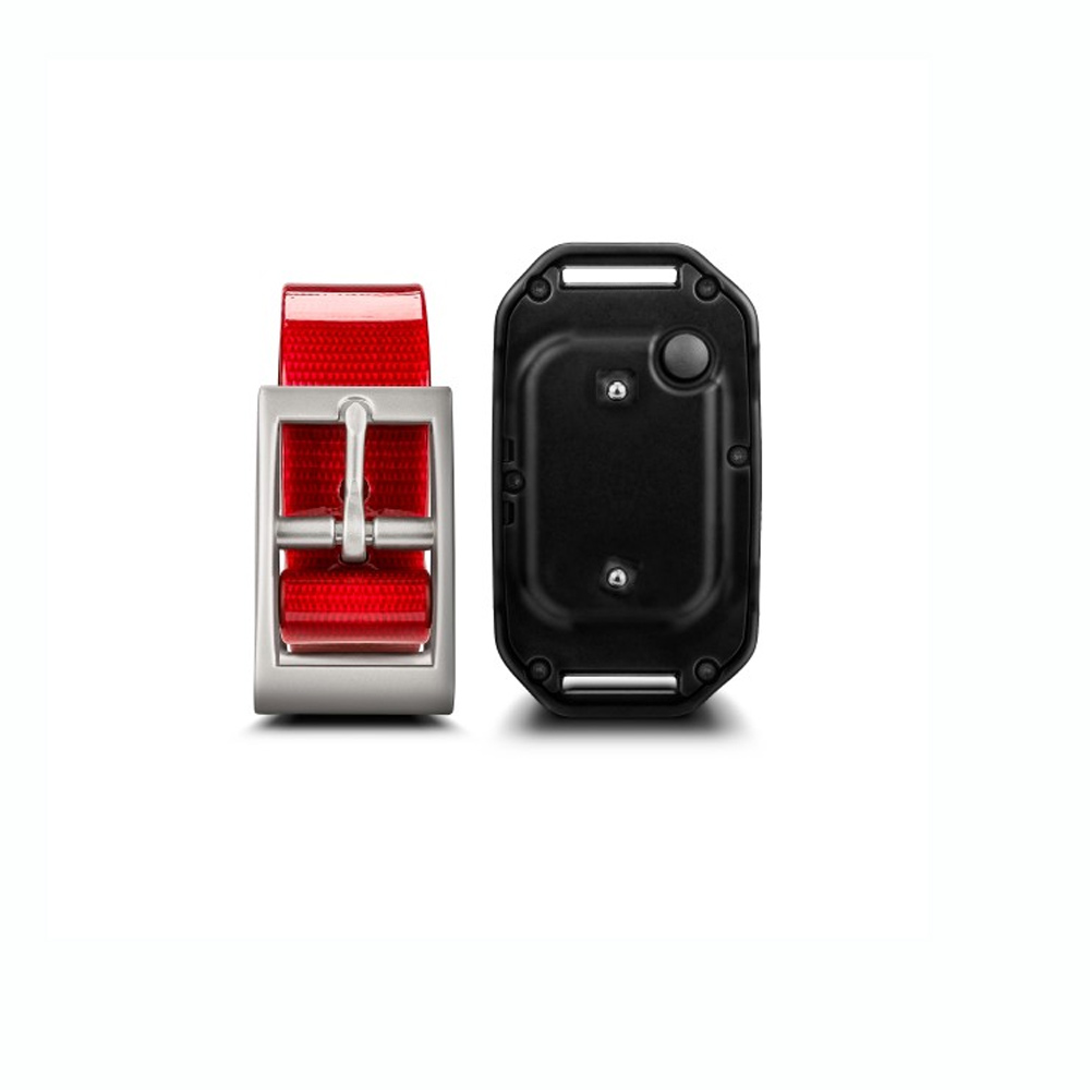Garmin PT 10 Pro Κολάρο Σκύλου Κόκκινο - Image 2