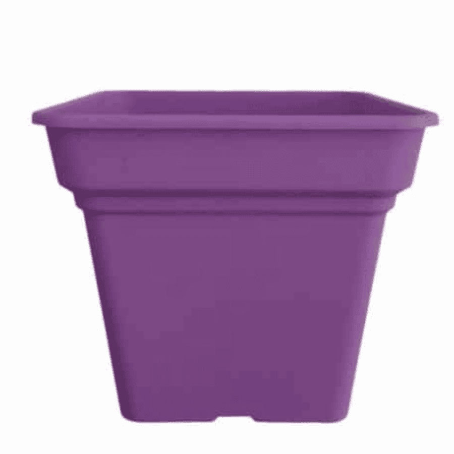 Γλάστρα Τετράγωνη Μωβ 20 Daiquiri Micplast – 11142008
