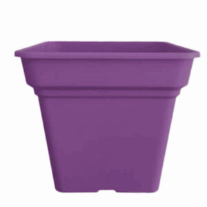 Γλάστρα Τετράγωνη Μωβ 25 Daiquiri Micplast - 11142508