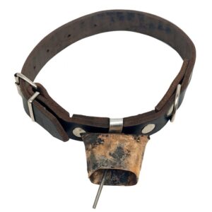 Περιλαίμιο δερμάτινο σκύλων 2.5X51cm με τράκα n.1