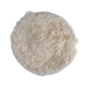 RAIDER Μάλλινος σκουφός για στιλβωτές Φ240 209914