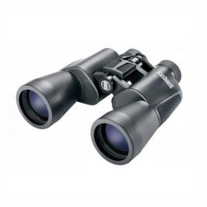 Brushnell Promo Pacifica 211035 Κυάλια